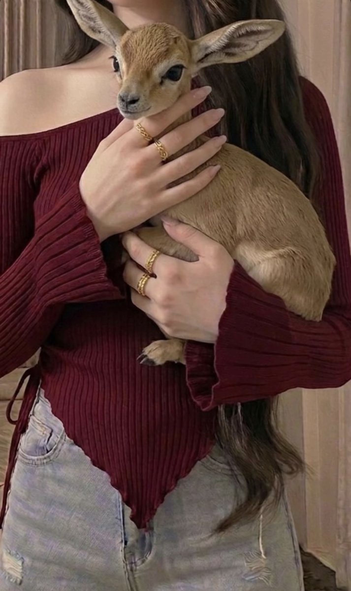 جنــوبيـــة💙 tweet media