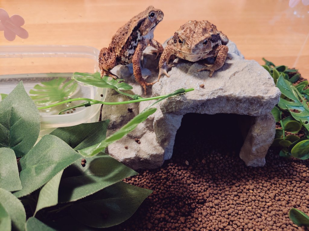 だいぶ住環境が整備されてきた
私より良い暮らしかも