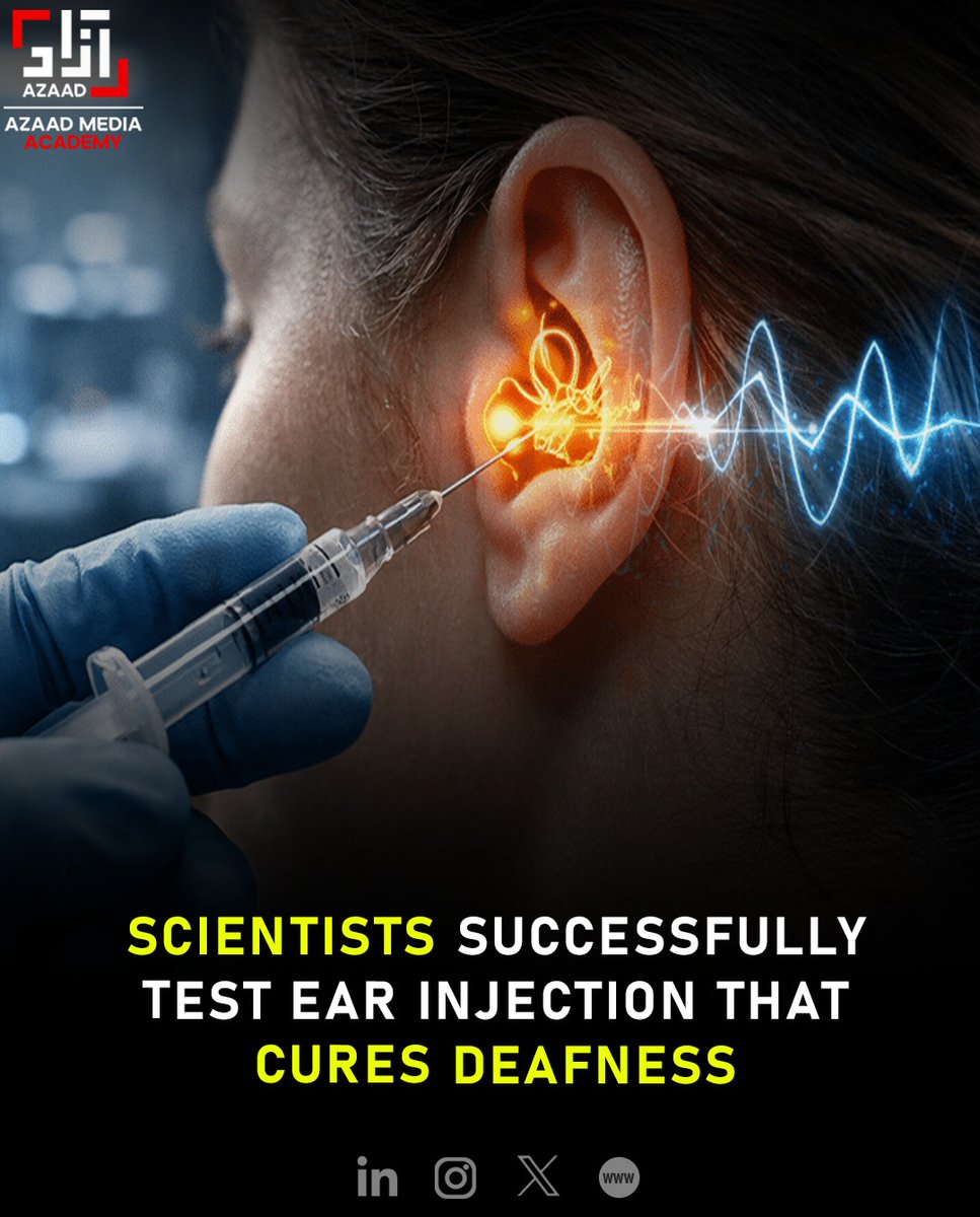 AzaadAcademy's tweet photo. A groundbreaking step in medical science 🔬✨ Scientists have successfully tested a new ear injection that could help restore hearing and potentially cure deafness, offering new hope to millions around the world.  #HealthInnovation #TechInHealth #TrendingNow #FYP #ExplorePage https://t.co/vDGaBkTw4j