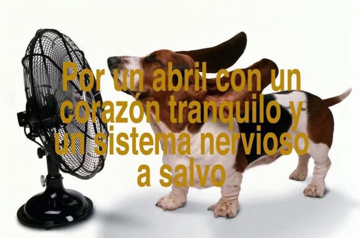 Nasty Poet (@nxstypxet) on Twitter photo 