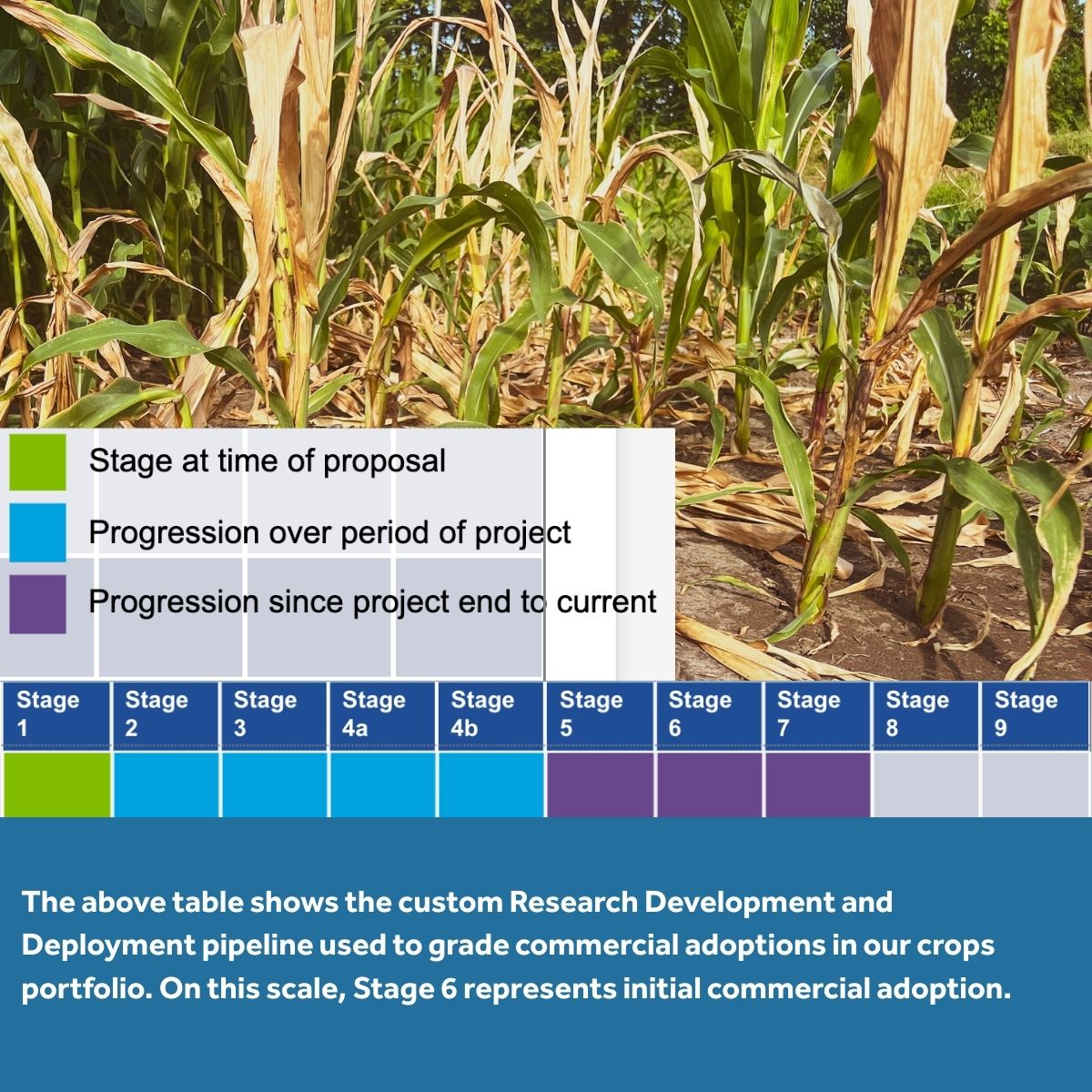 Foundation for Food & Agriculture Research (FFAR) tweet media