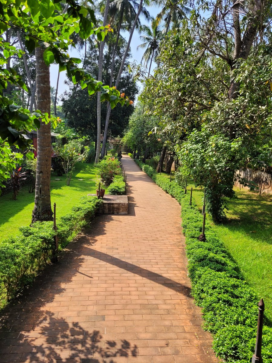 Ananth_IRAS's tweet image. Let's go for a walk!! It's Trail Tuesday!! 

QP or Share your trails! #trail #Photography