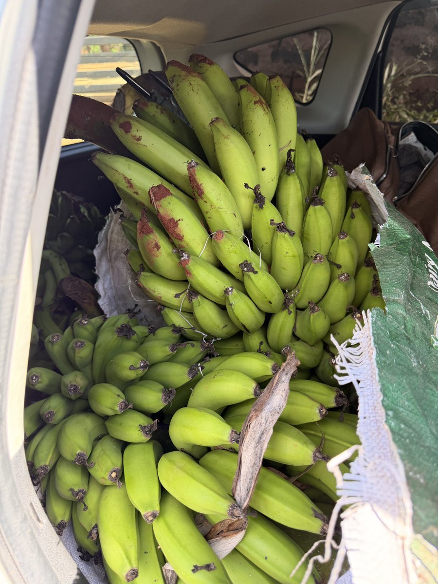 Vicky Junior Mukulima tweet media