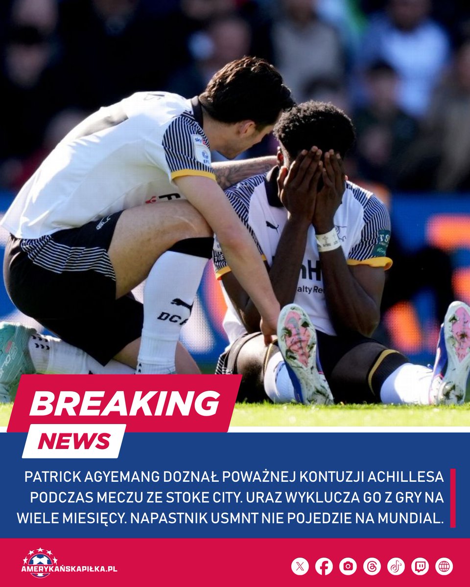 Katarzyna Przepiórka tweet media