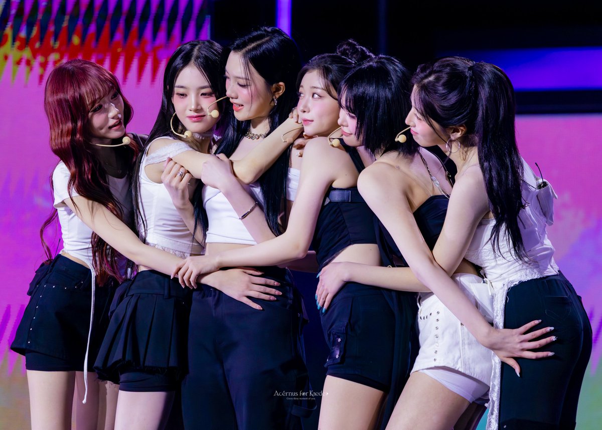 단풍자리 Acérnus tweet media