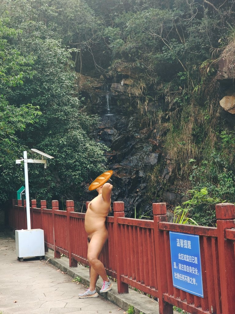 naked bellflower tweet media