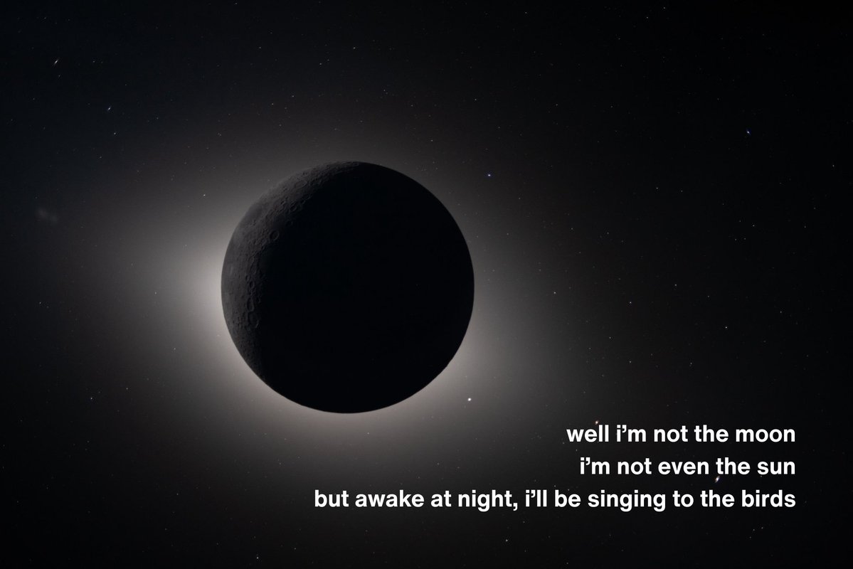 mitski nation tweet media