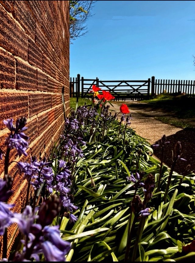 karen thompson tweet media