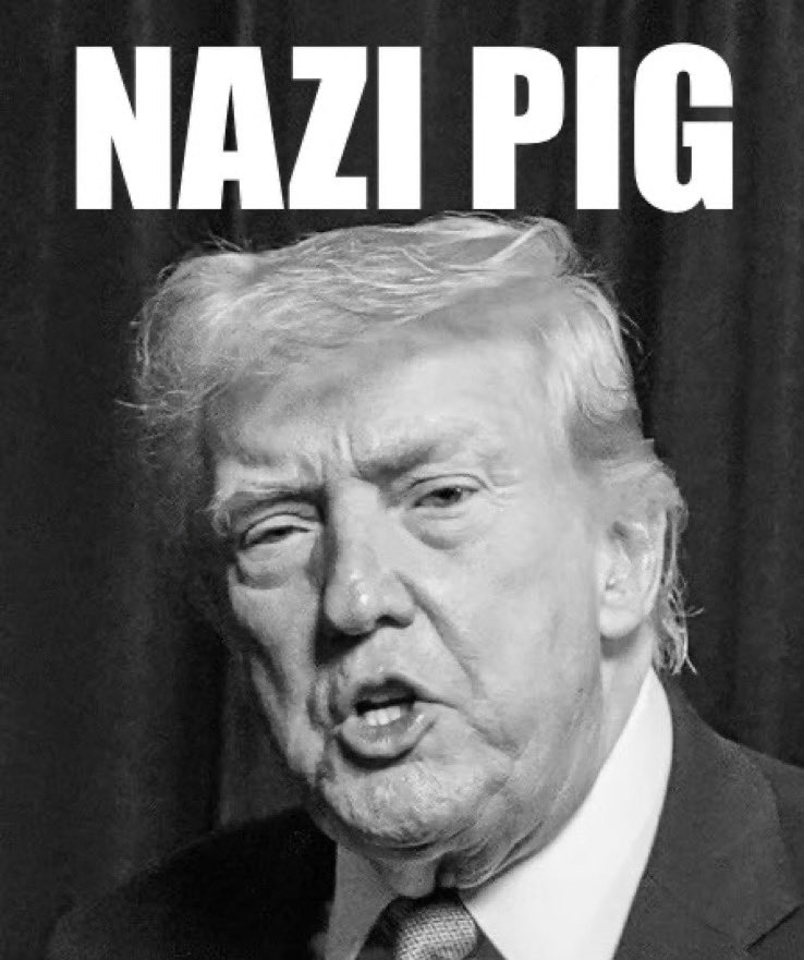 Chris Mol tweet media