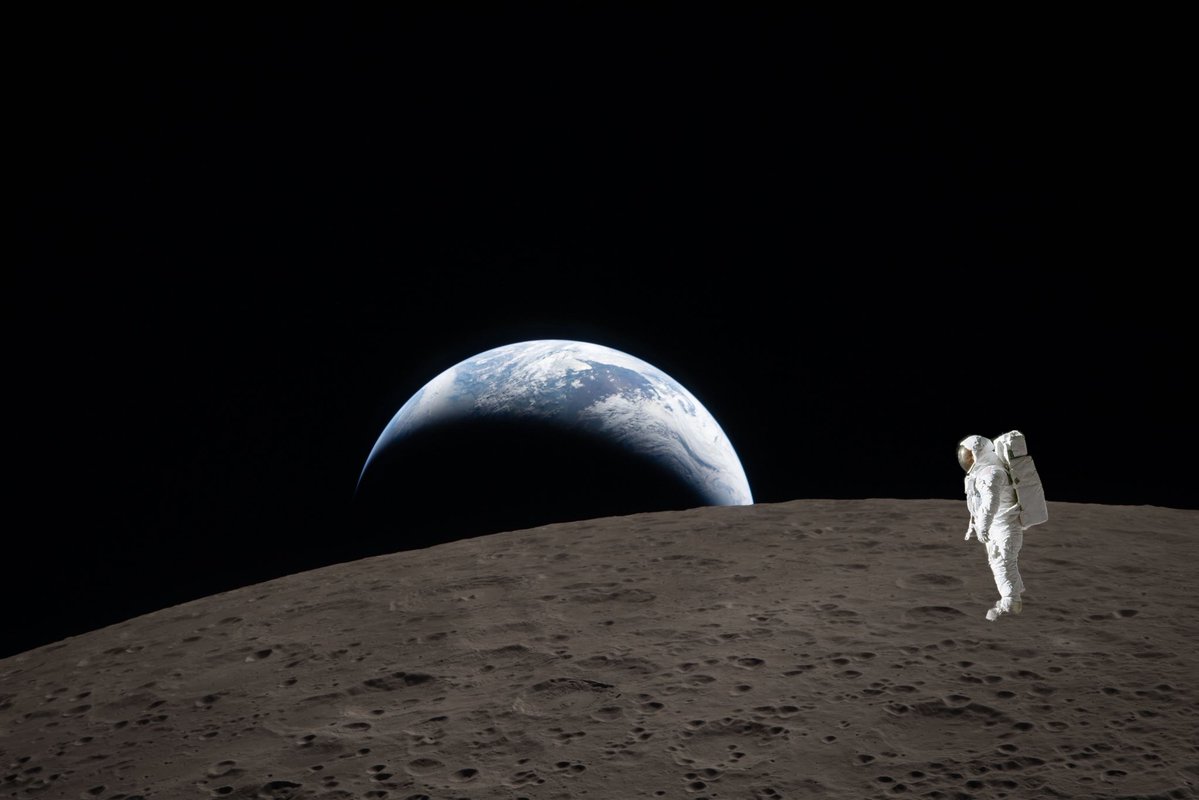 Marijke Louise tweet media