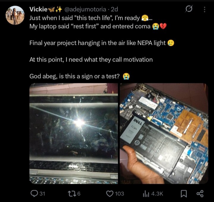 Vickie🦋✨ tweet media