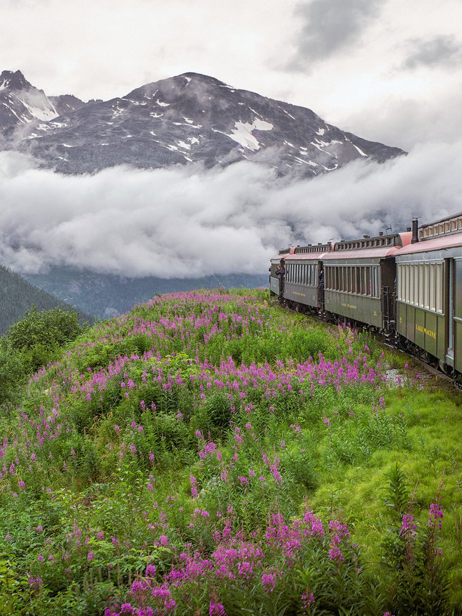 The World tweet media