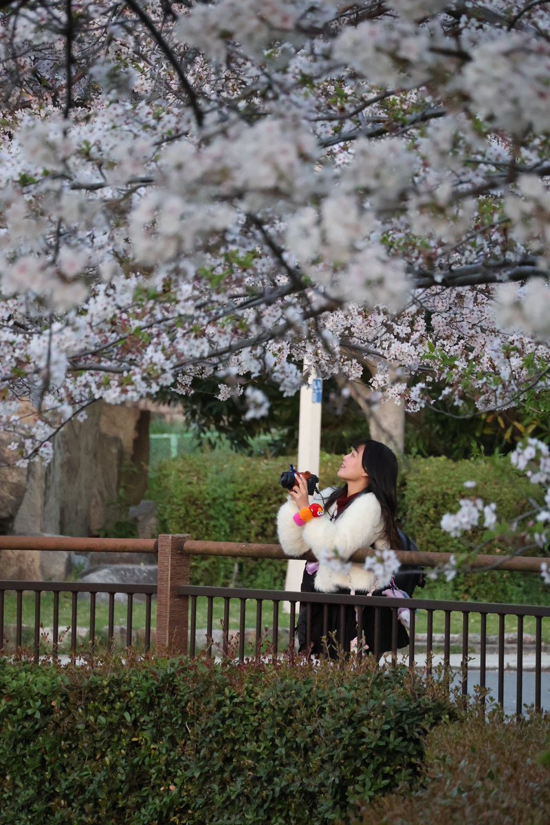 みおか❤️｜霗夏｜ㄌㄧㄥˊㄒ一ㄚ、 tweet media