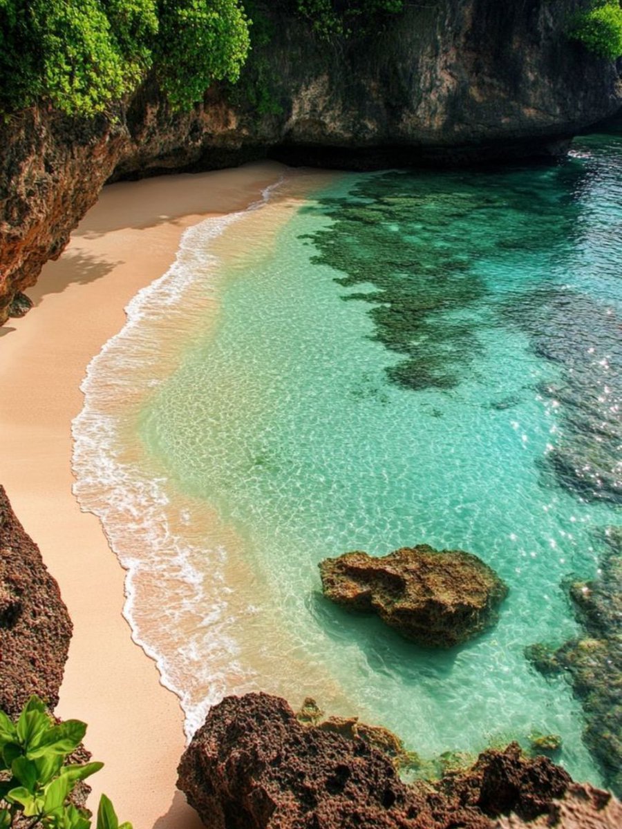 Beauty Explorer tweet media