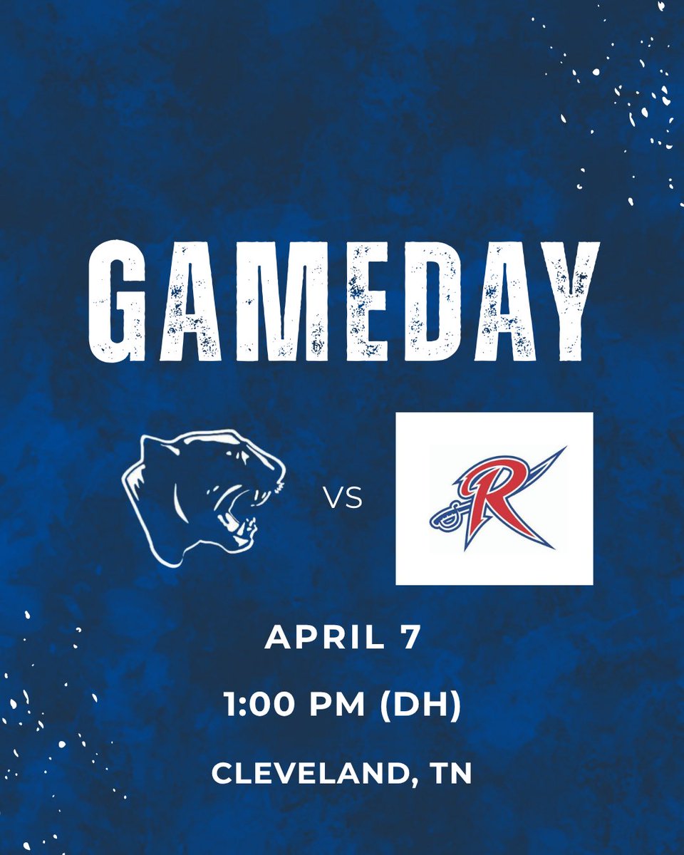 Cleveland State ⚾️ tweet media