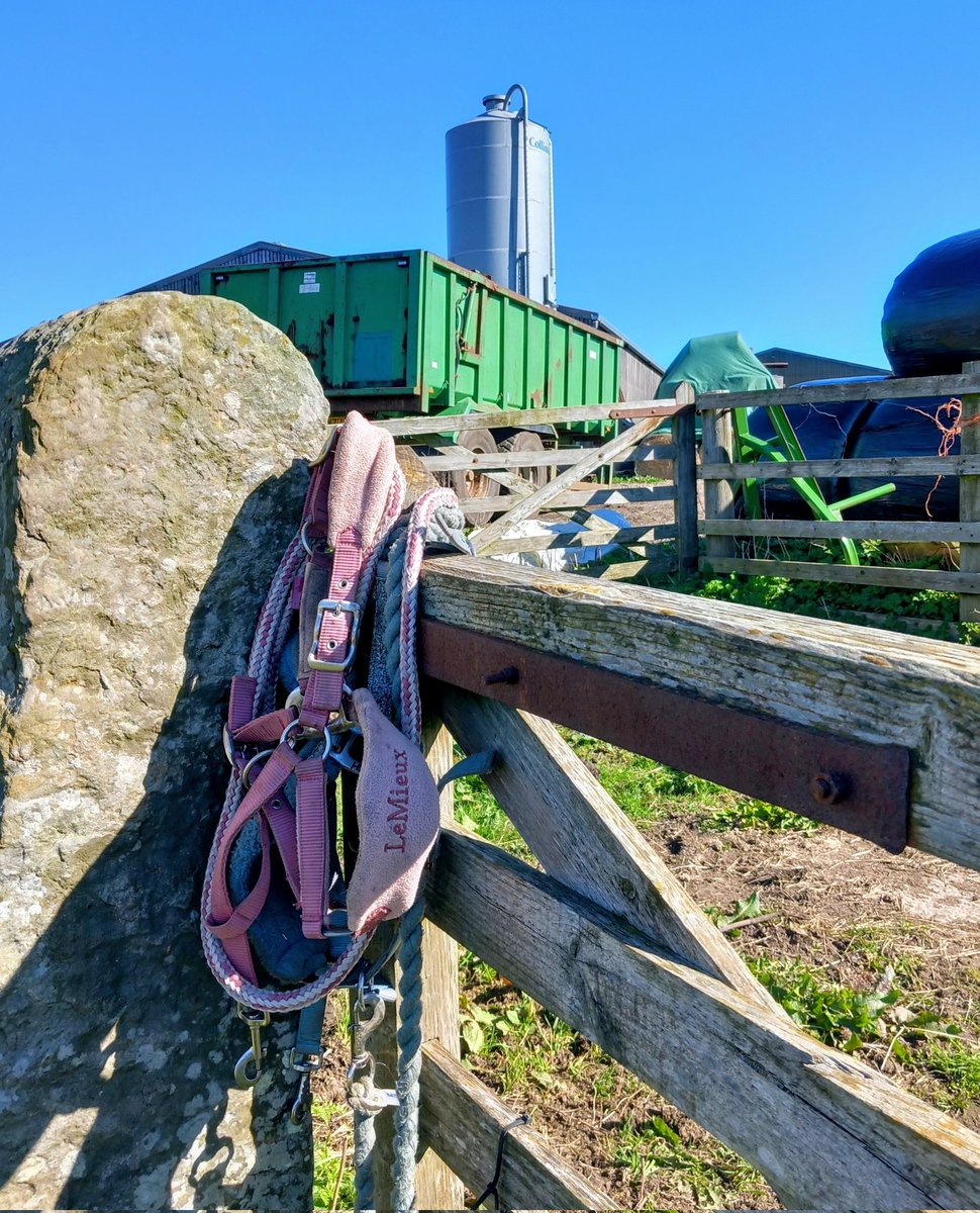 Elizabeth Bennett tweet media