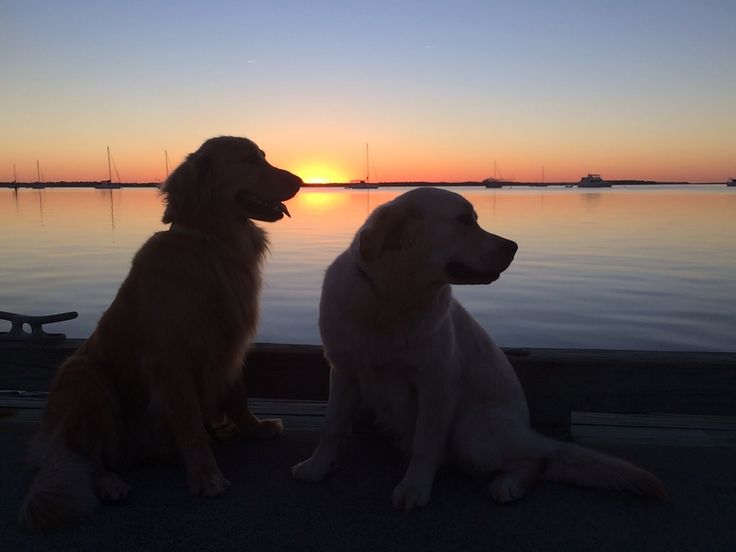 ㅅㅊㅇ♡ tweet media