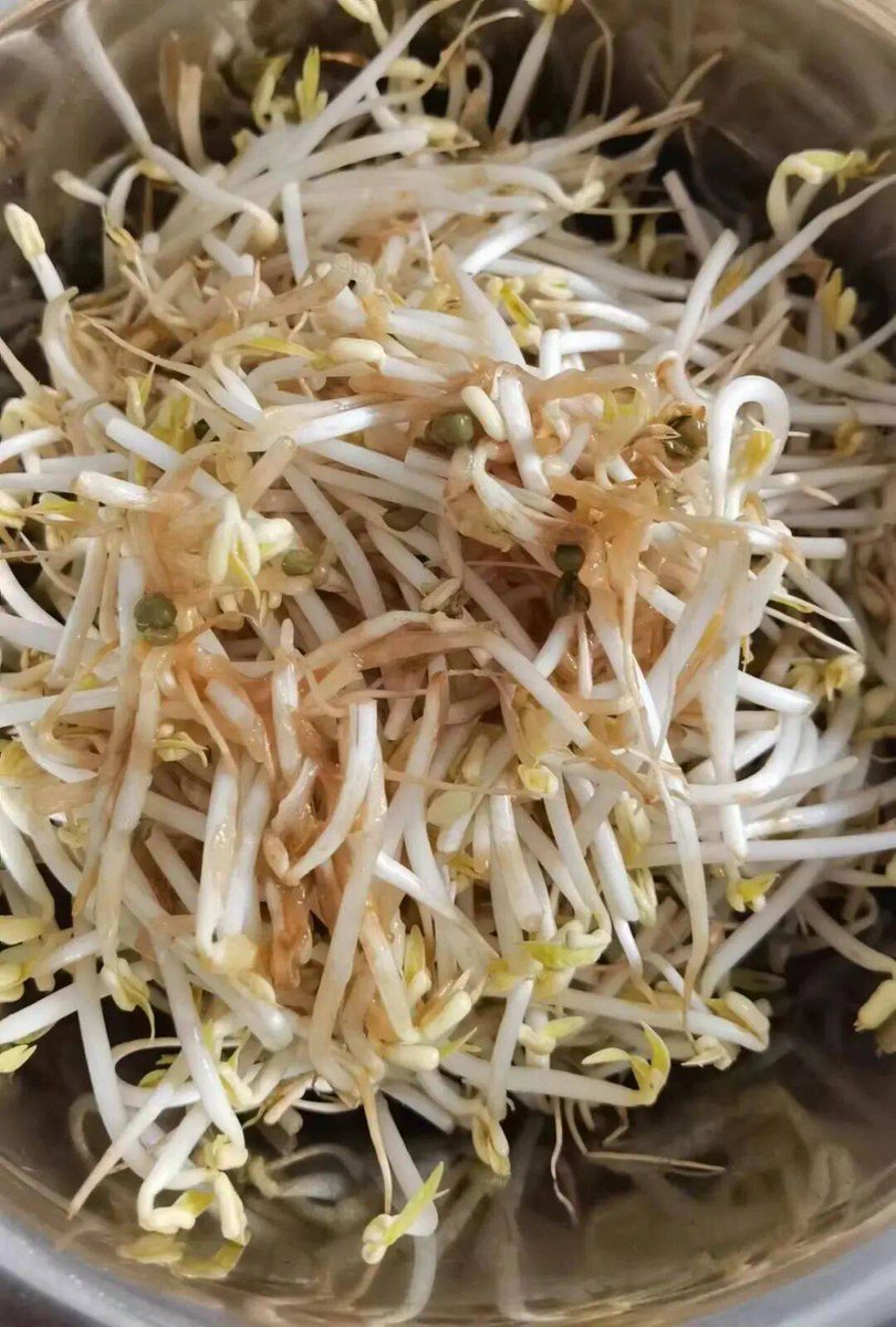 Gauche Marie charlotte tweet media