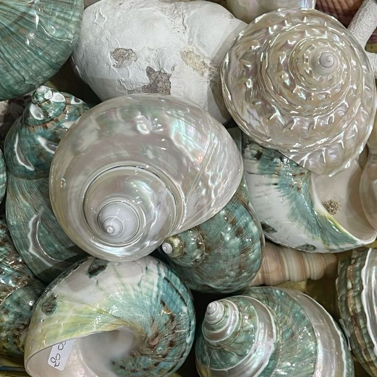 eomjayও tweet media