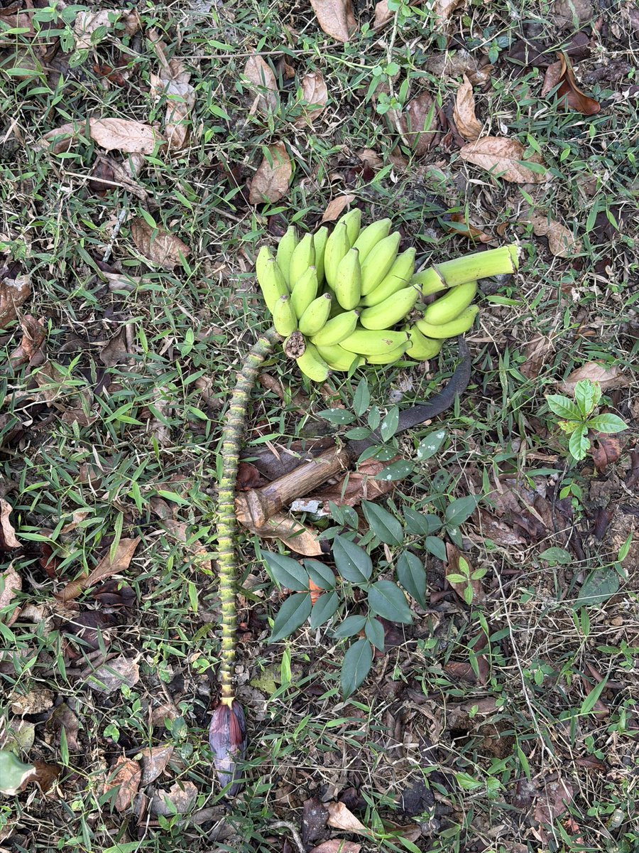 Rajath DM 😎 tweet media