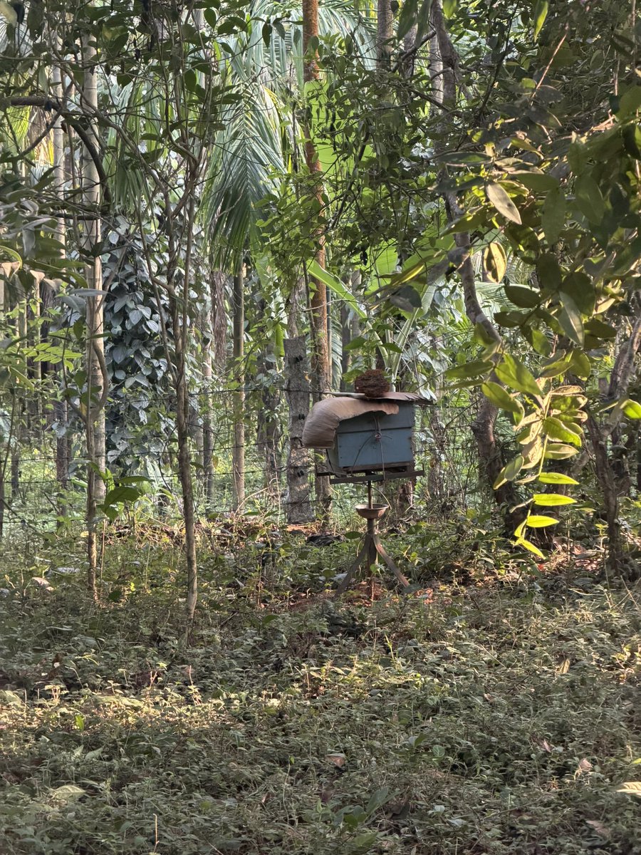 Rajath DM 😎 tweet media