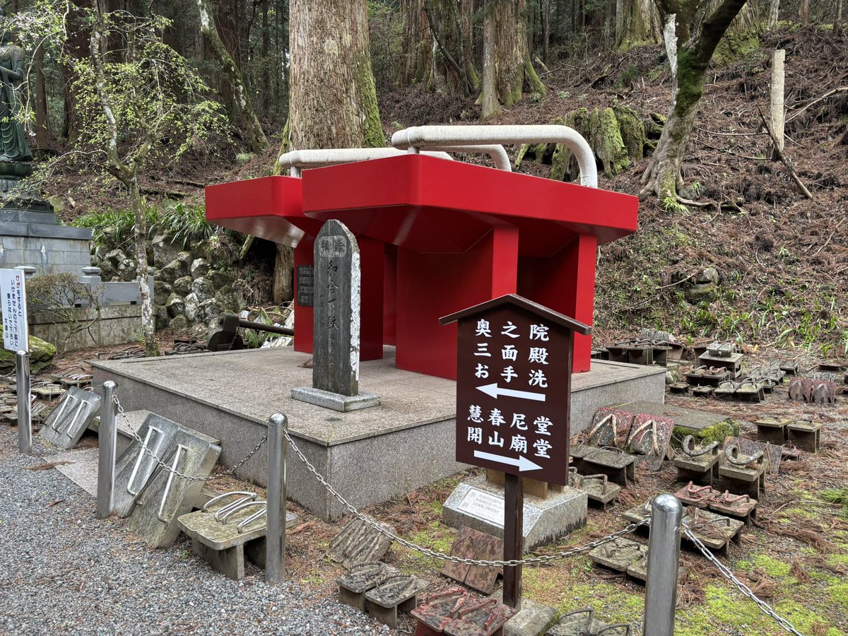 ゆな🐶▷3/31 SUPER BEAVER 武道館 tweet media