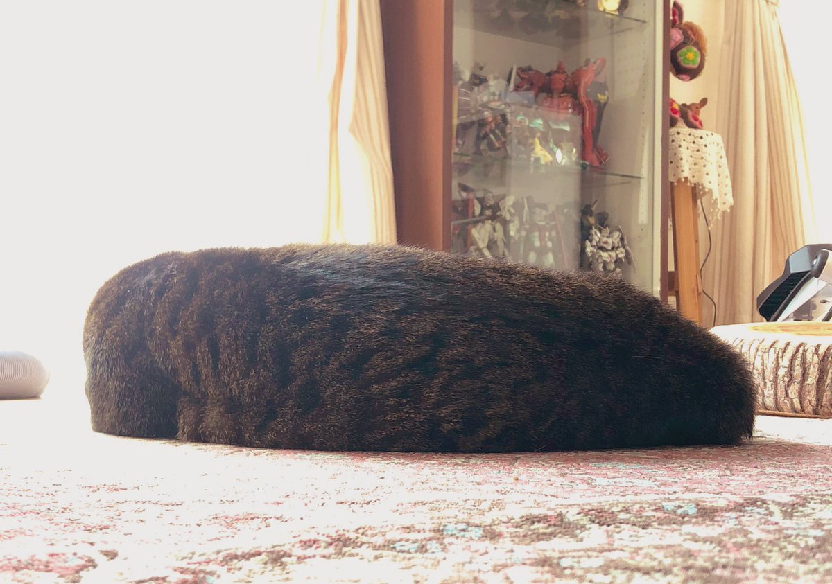 なみお tweet media