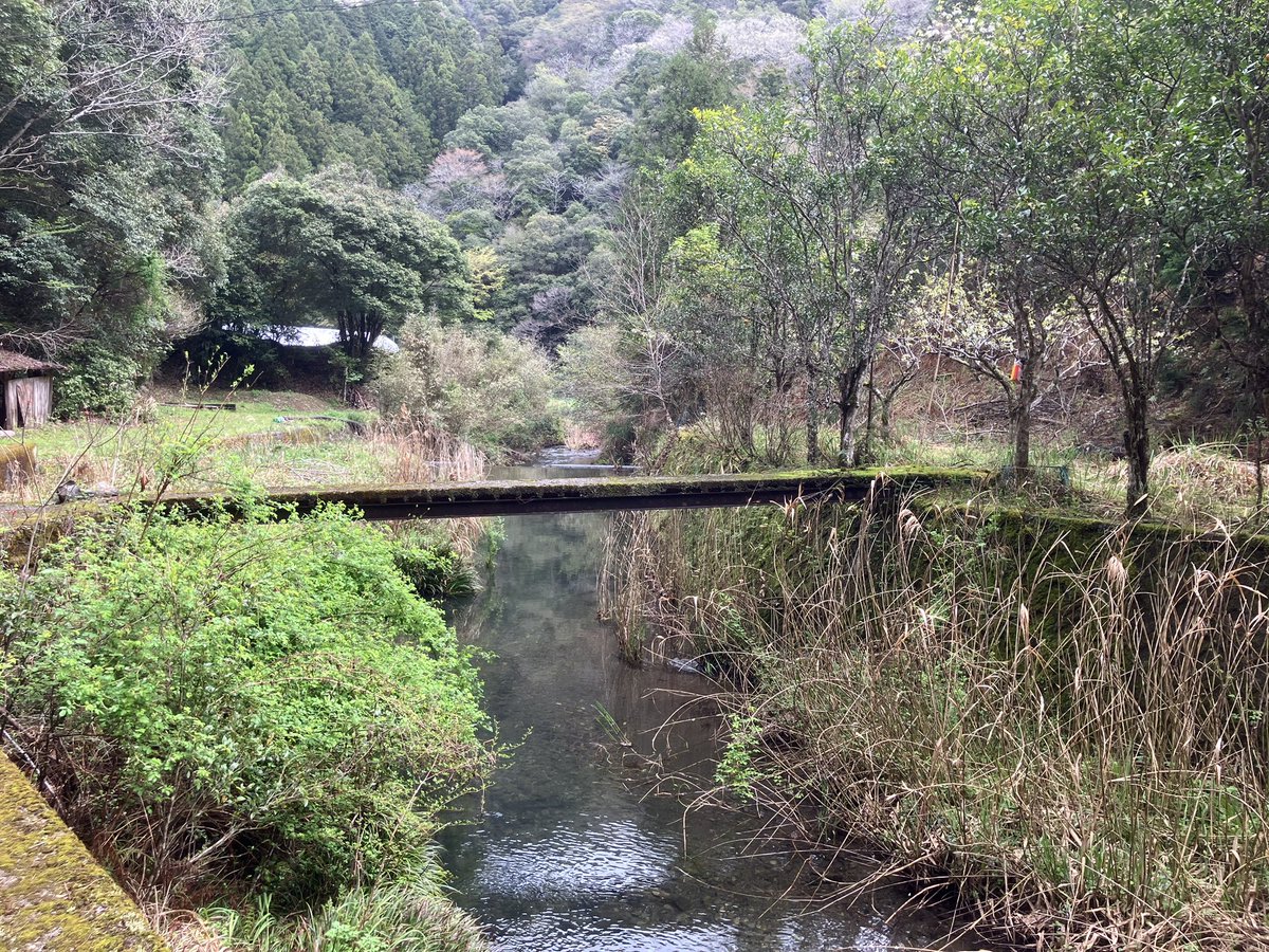 松葉川健一@四万十川のほとりに住むサーカスアーティスト　四国　高知　ジャグリング tweet media