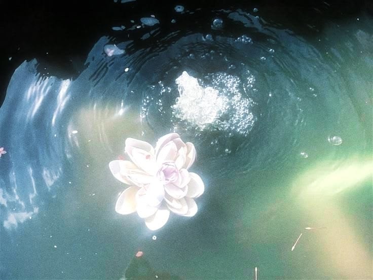 eomjayও tweet media