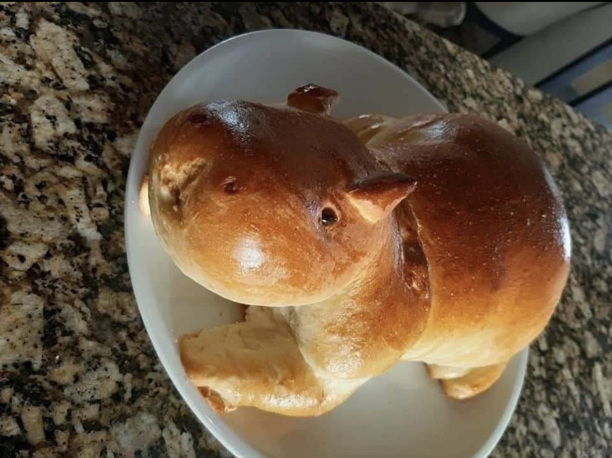 xのカピバラ tweet media