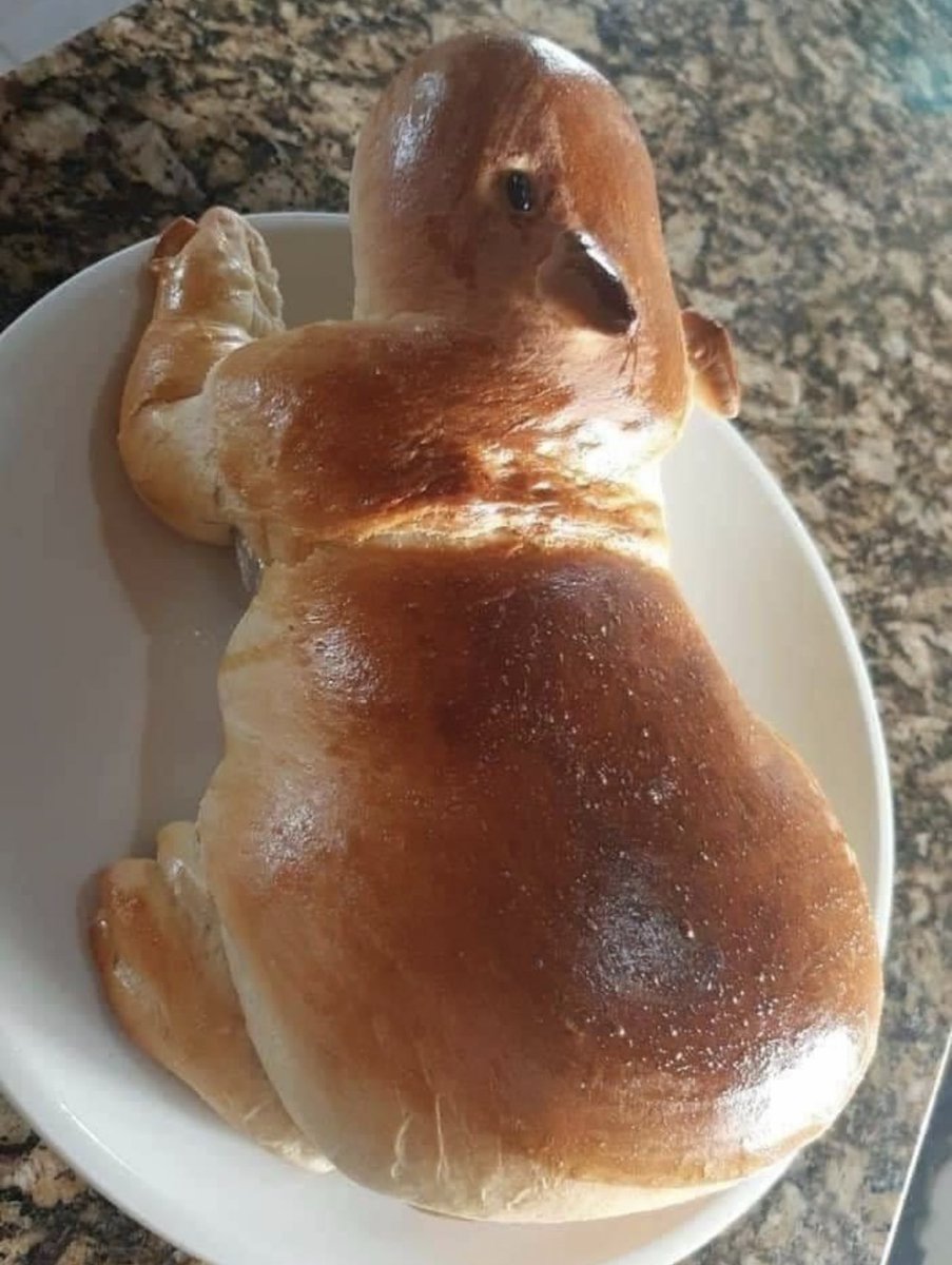 xのカピバラ tweet media