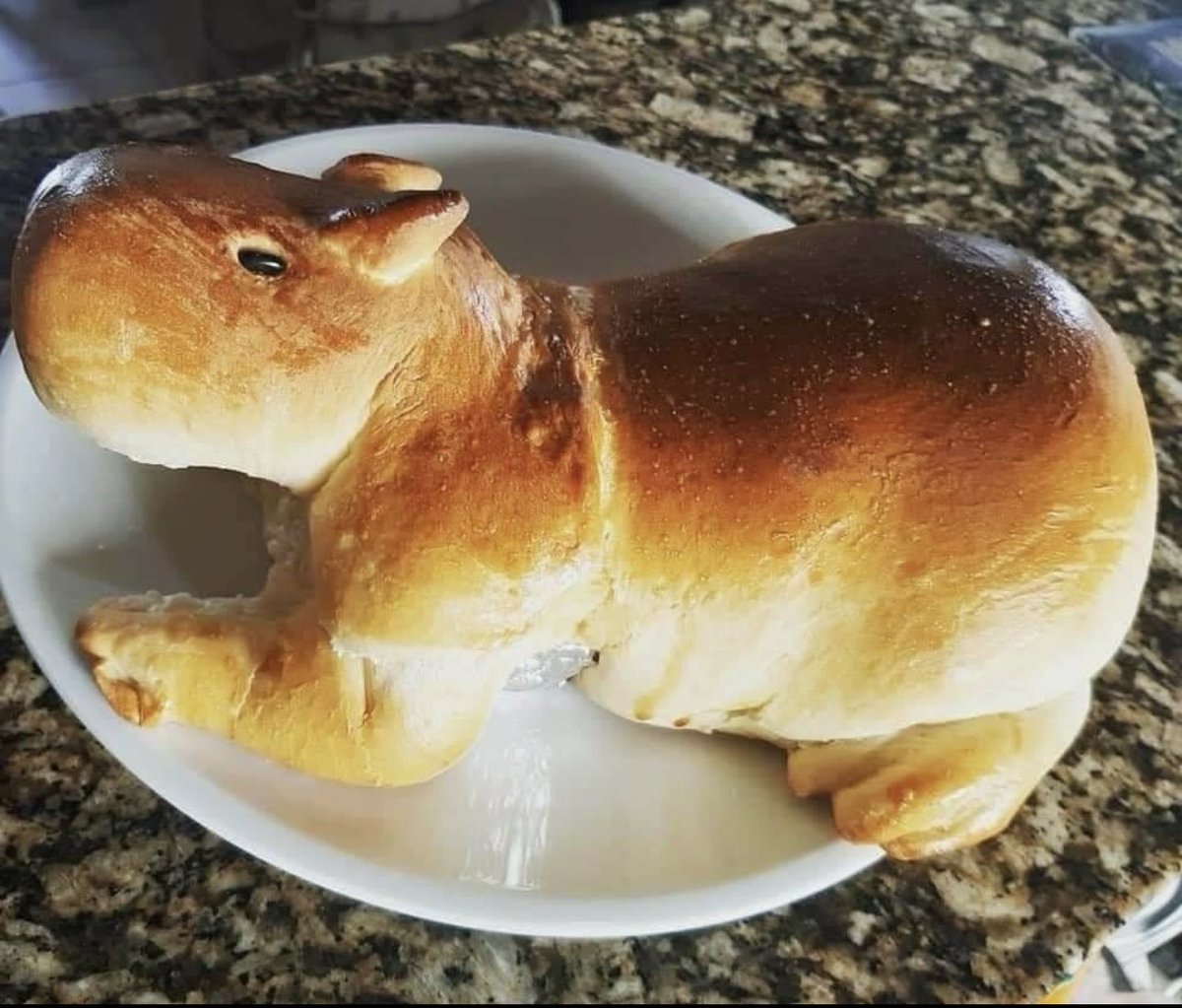 xのカピバラ tweet media