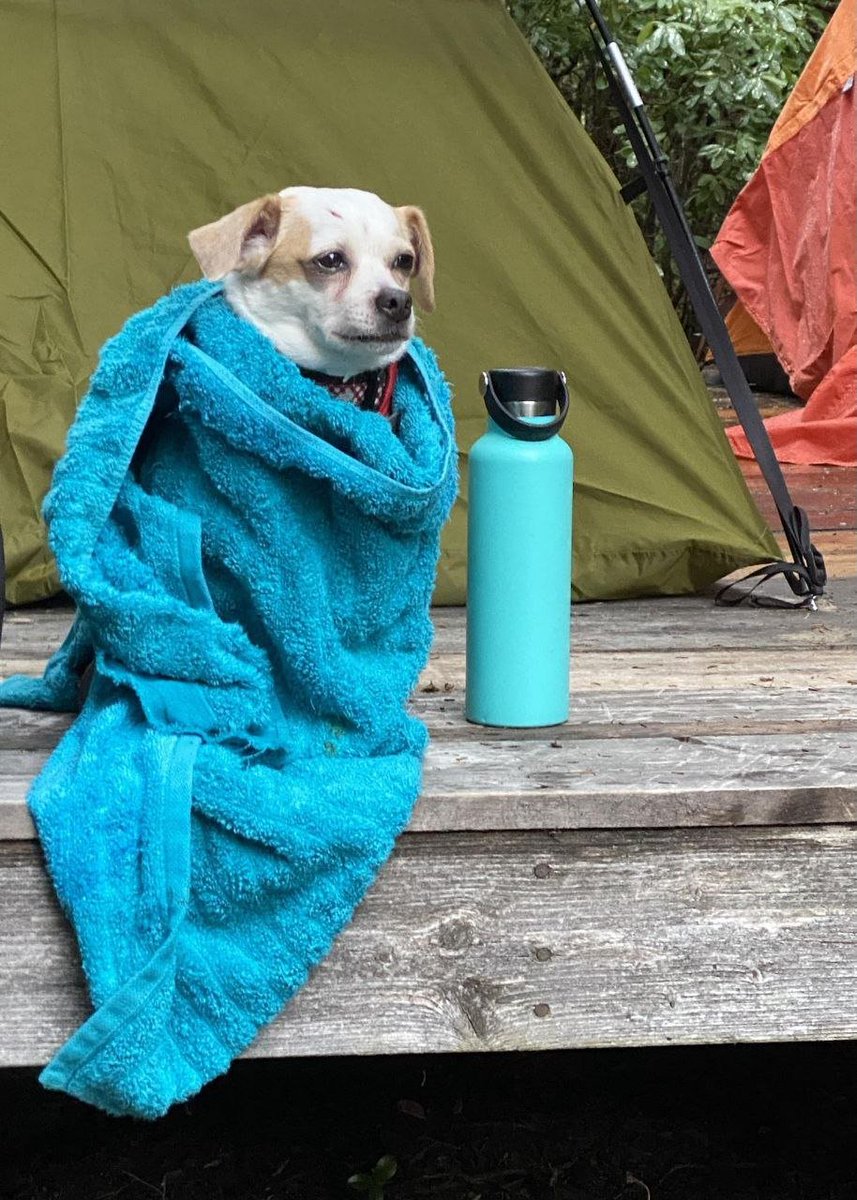 Your Kotek Gganbu tweet media