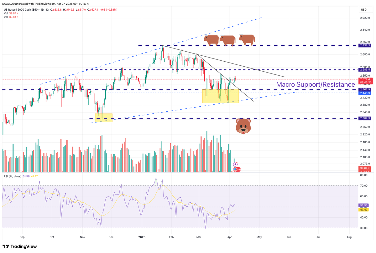 IL GALLO tweet media