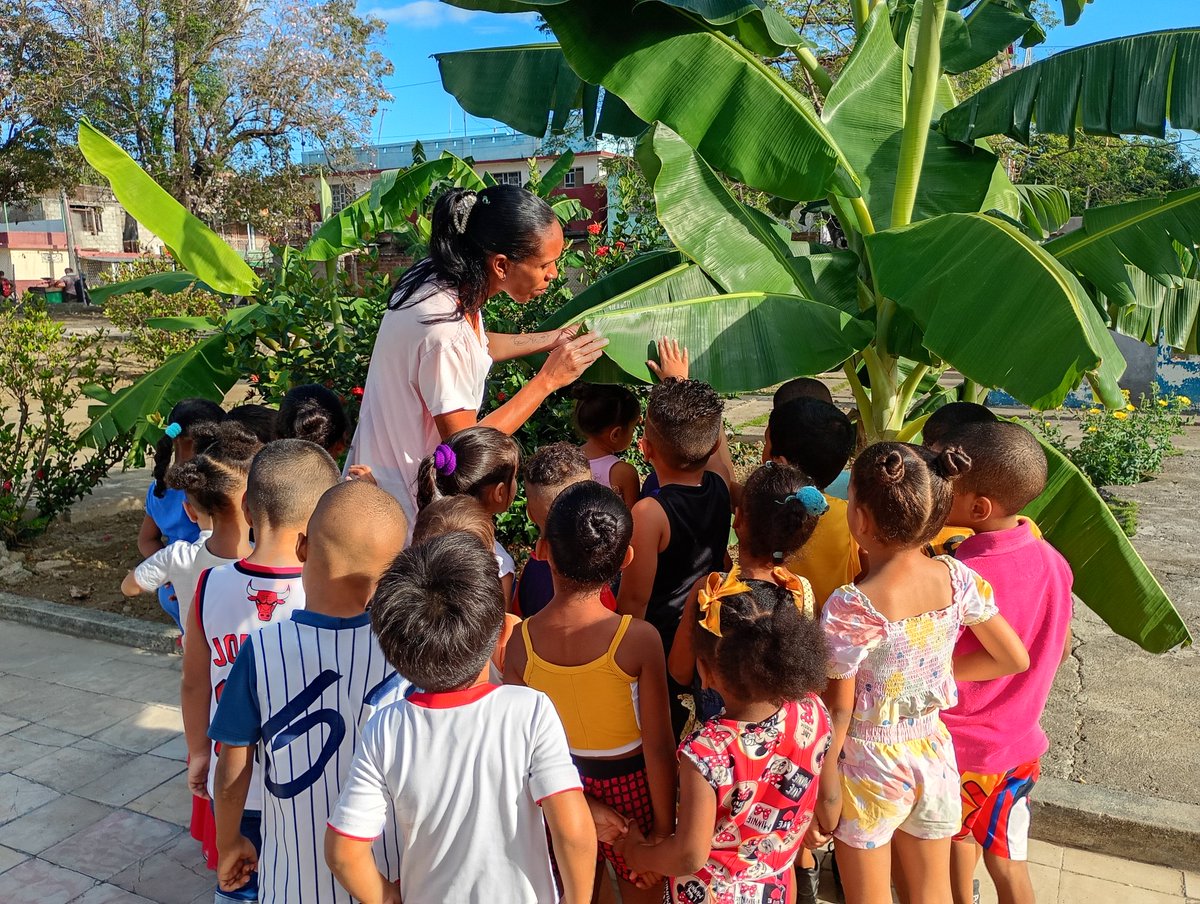 Dgeap Guantánamo Cuba tweet media