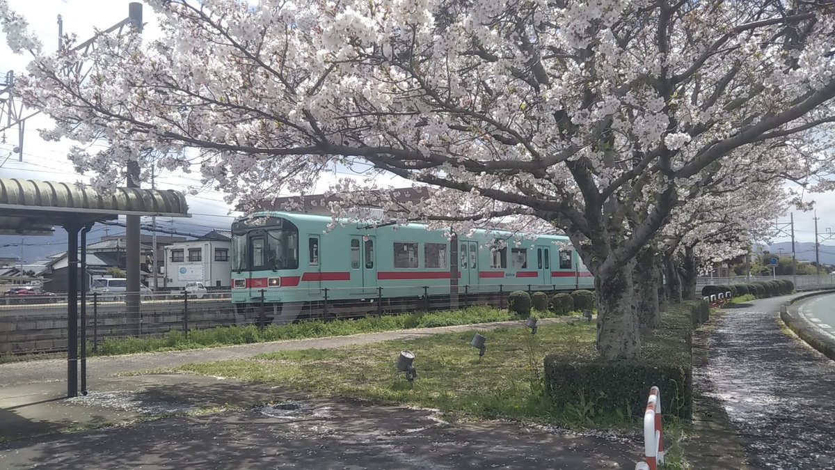 トミ梅（田舎鉄） tweet media