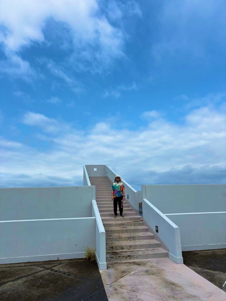 おみそちゃんねる【下念司ニュースの猫側】 tweet media