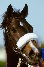 NevadaDream🇵🇹 tweet media