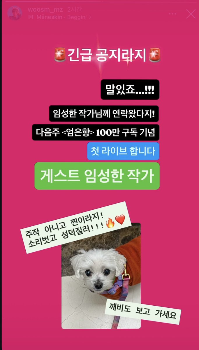 먉🐈‍⬛ tweet media