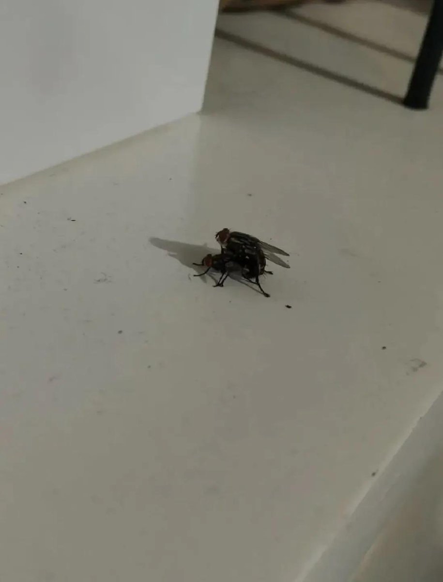 The Girl Boss❤️ tweet media