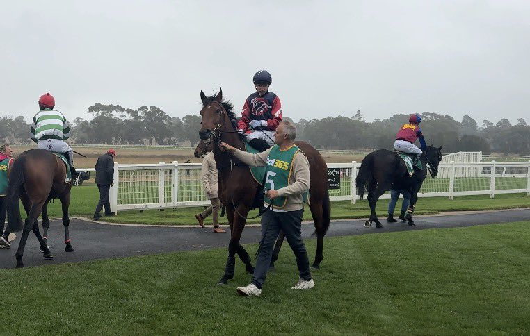 Rising Sun Syndicate🇯🇵 tweet media