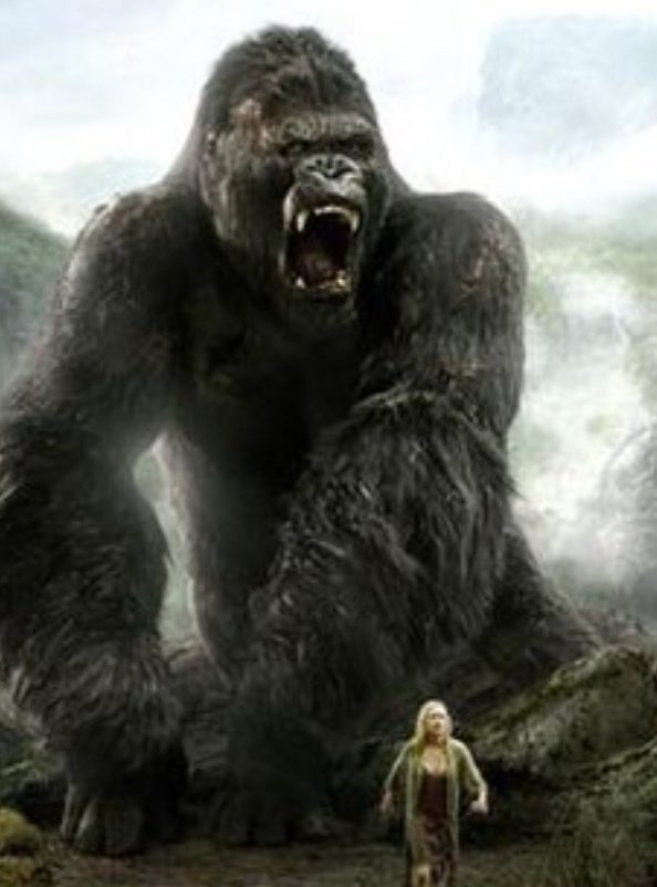 𝔹𝕚𝔾 𝔻ℝ𝔼𝕐𝕐🫵 tweet media