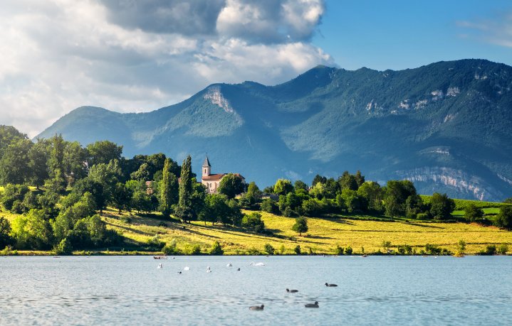 Moonaard 🌑 tweet media