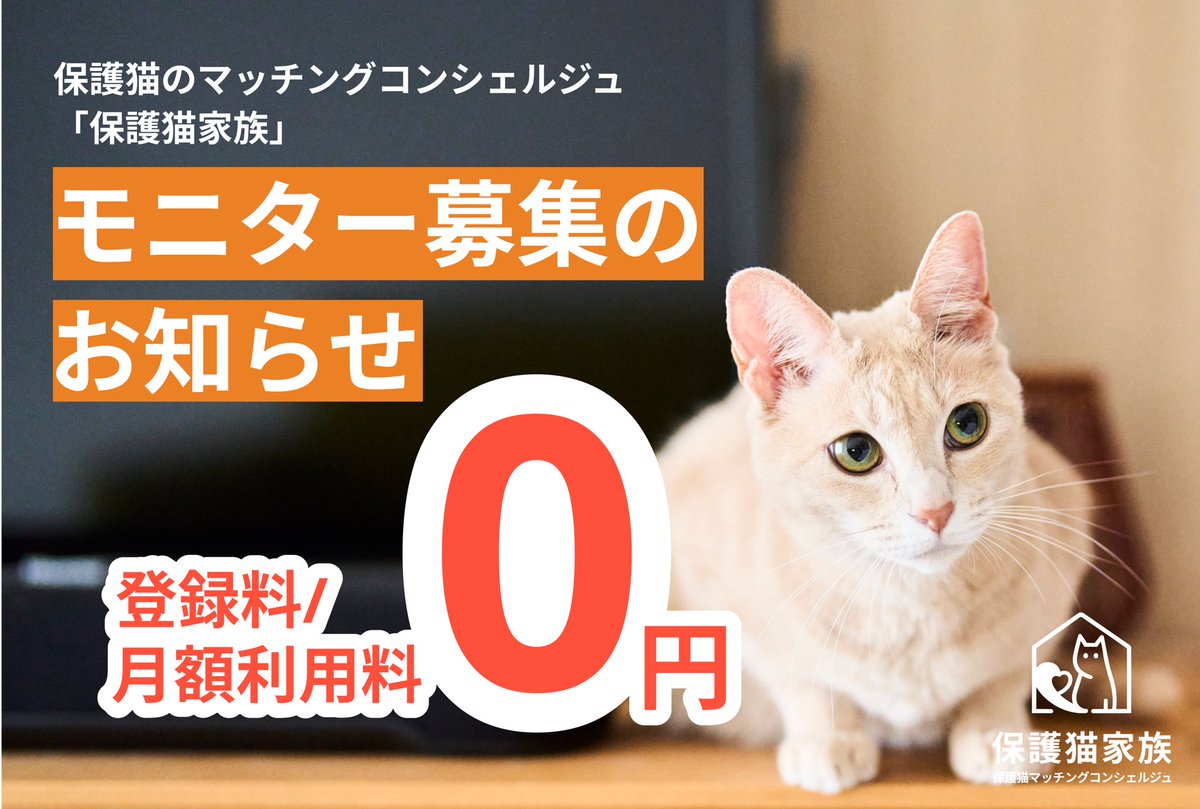 黛純太🐈保護猫スポンサーシップ「ネコノート」 tweet media