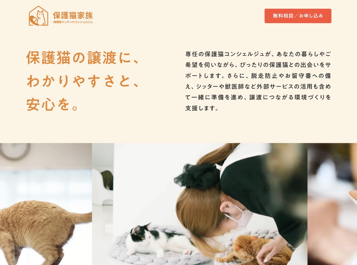 黛純太🐈保護猫スポンサーシップ「ネコノート」 tweet media