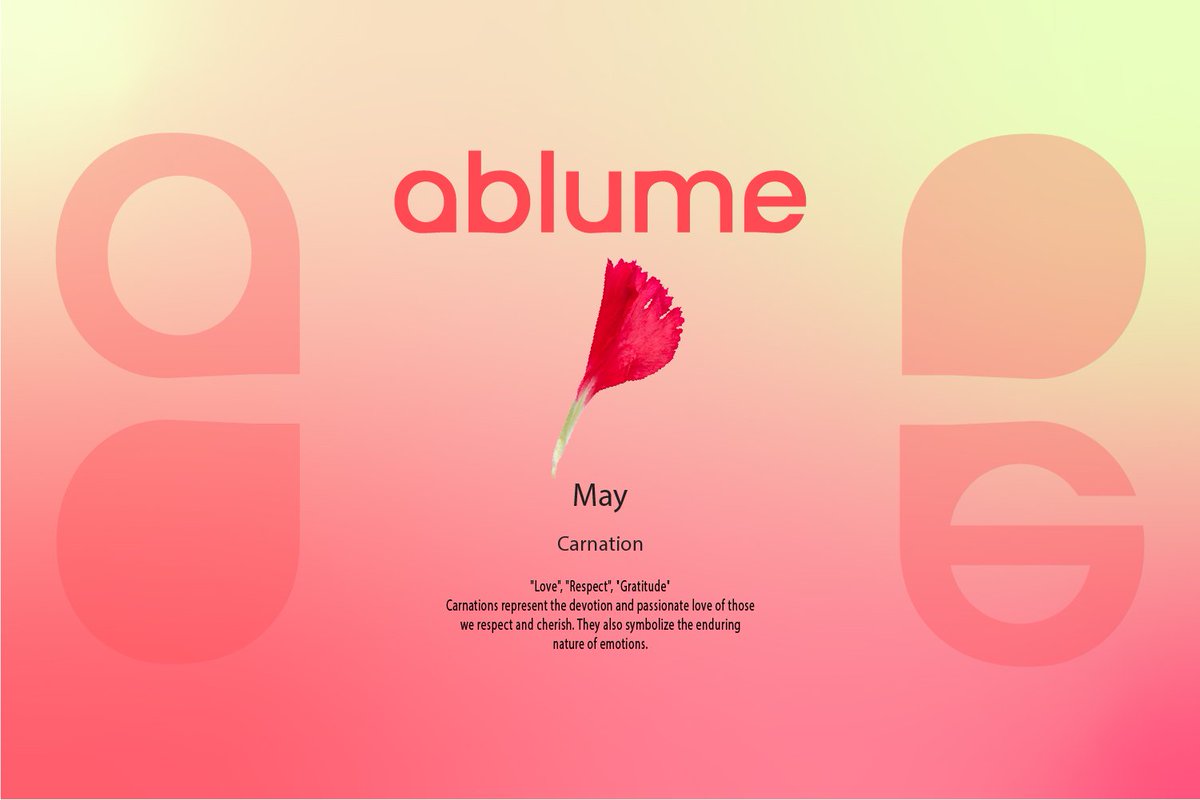 𝓙𝓪𝔂 — 𝑉𝑉𝑆 𝐻𝑂𝐸 tweet media