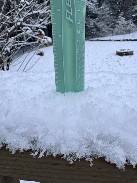 1DegreeOutside's tweet image. 1.5" of snow in New Boston, NH @WX1BOX #nhwx #newenglandspring #snow