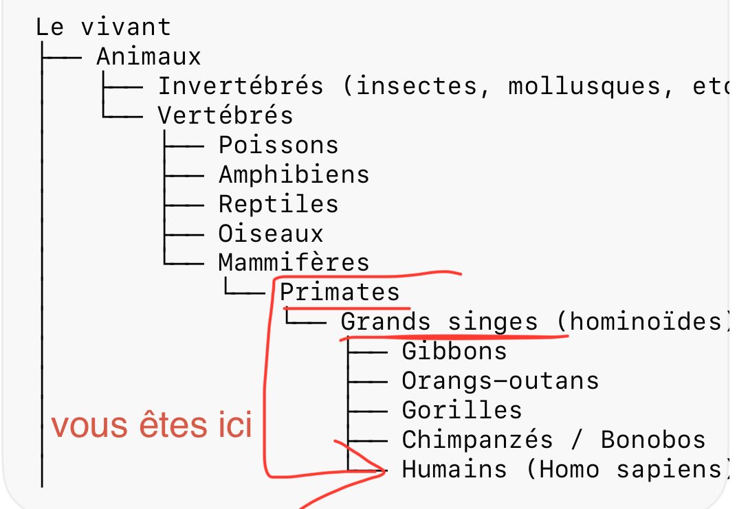 La Baronne tweet media