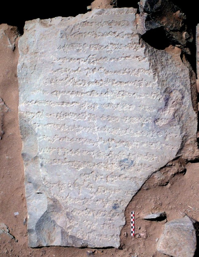 إلياس 🎭🏹 tweet media