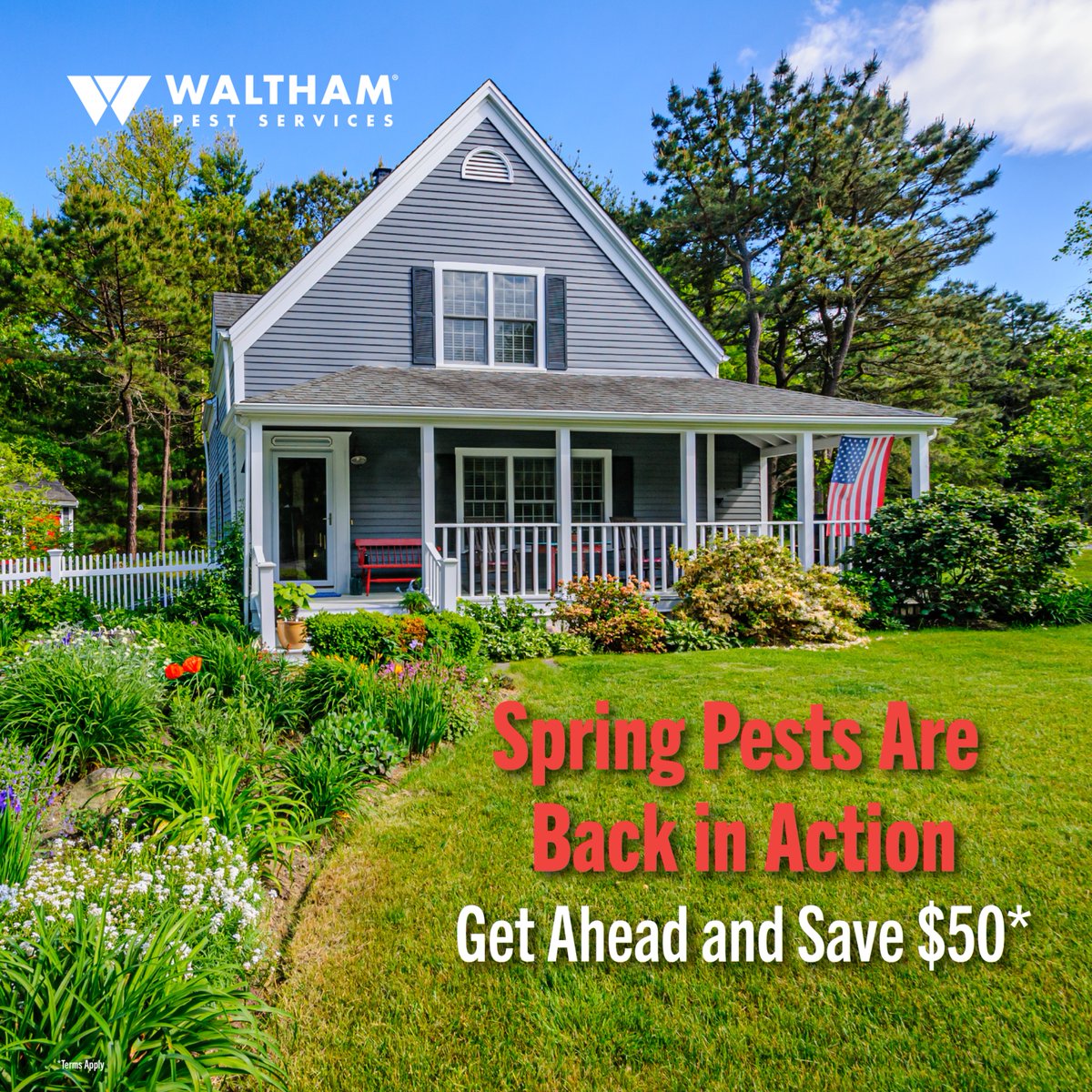 🌸🌼 Spring is beginning to wake everything up… including pests. Get ahead of ants, spiders, and more with our year-round pest control plan. Strat the season strong with Western and save $50* when you book today: *Terms Apply bit.ly/46m11dU